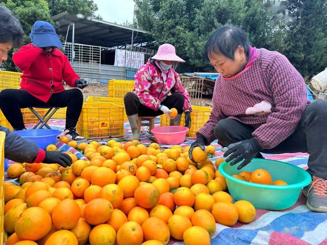 廈門家裝_十強家居裝修公司廈門_廈門家裝公司排名