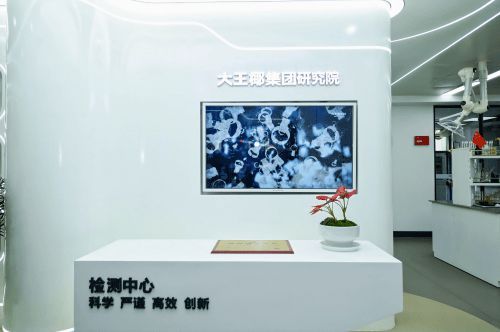 2024板材與家居品牌創(chuàng)新研討會舉行 大王椰榮獲多項行業(yè)優(yōu)秀稱號