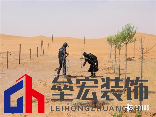 DOJUS 度假式家私:重構(gòu)家居消費場景,定義“日常,就度假”的美學(xué)革命